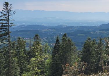 Randonnée Marche Celles-sur-Durolle - Le Puy de Montoncel_T - Photo