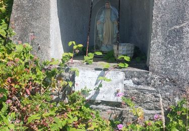 Randonnée Marche Plouescat - 20250803 - Photo
