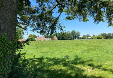 Tocht Stappen Val-de-Scie - Auffay - Photo