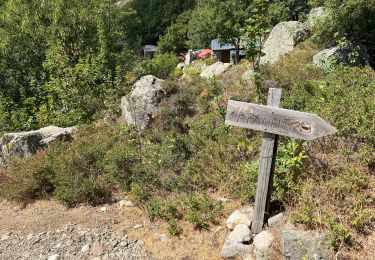 Tour Wandern Palneca - 4 eta gr 20 Col de veldre - Campanelle Ghisoni - Photo