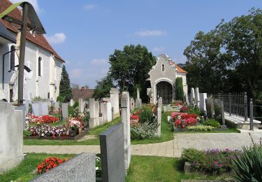 Percorso A piedi Leibnitz - Seggauberger Genussplatzrunde - Photo