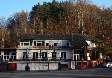 Tocht Te voet Eußerthal - Mönchsweg - Photo