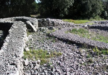 Percorso A piedi Viols-le-Fort - Circuit des dolmens de Viols-le-Fort à Cantagrils - Photo