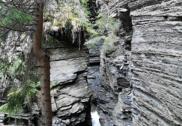 Excursión Marcha nórdica Ayent - bisse d'Ayen  - Photo