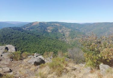 Trail Walking Les Vans - GRP Le Cévenol Brahic-Génolhac 32km  - Photo