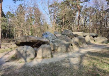 Tour Wandern Emmen - Hunebed D45 - Photo