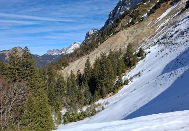 Trail Walking Saint-Pierre-de-Chartreuse - Pravouta le 3 3 25 - Photo