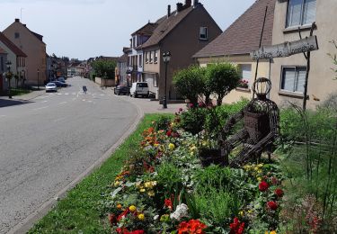 Randonnée Vélo de route Rohrbach-lès-Bitche - EXT35 Rohrbach les Bitche-02 - Photo