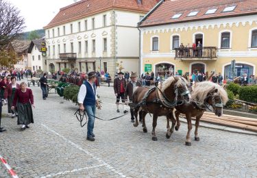 Excursión A pie Lam - L 3 Lam - Osser (Osser-Riesensteig) - Photo