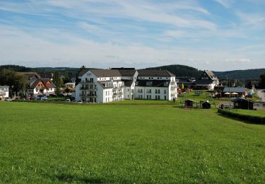 Percorso A piedi Winterberg - Winterberg Rundweg W8 Kappe-Silbecke-Weg - Photo