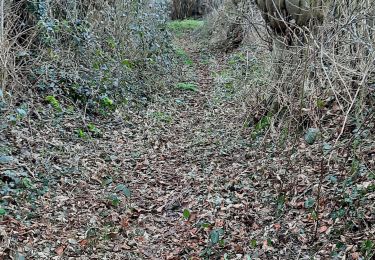 Tour Wandern Saint-Aubin - Saint Aubin - Photo