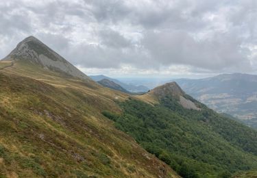 Excursión Senderismo Laveissière - Font de cere puy griou  - Photo