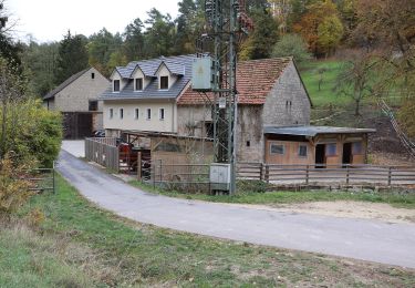 Excursión A pie Breitbrunn - Lauftour BRB2 - Photo