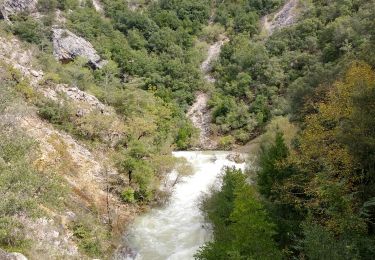 Trail Walking Saint-Cézaire-sur-Siagne - la Siagne par les escaliers - Photo