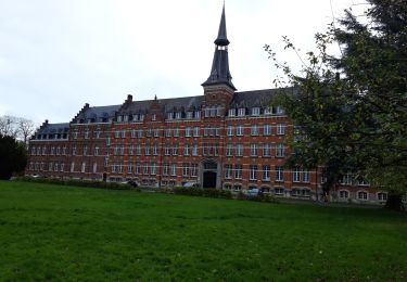 Trail Walking Wavre - De la villa Romaine aux castors - Photo