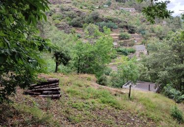 Randonnée Marche Cans et Cévennes - Calberte  - Photo