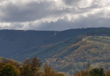 Trail Walking Schirmeck - Schirmeck - sentier du Colbéry - Photo