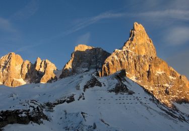 Tocht Te voet Primiero San Martino di Castrozza - Sentiero dei Finanzieri - Photo