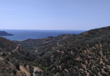 Trail Walking  - Myrthios-Sellia - Photo