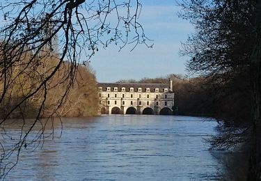 Trail Walking Francueil - Chenonceaux - GR41 Francueil - 12.7km 160m 2h45 - 2022 01 01 - Photo