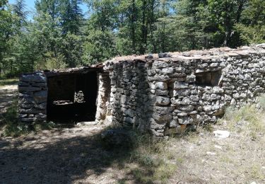 Randonnée Marche Bédoin - Le sentier Marcel archimard  - Photo