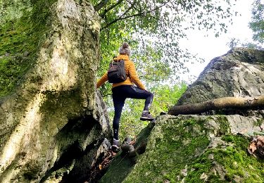 Tour Wandern Incourt - La promenade des grosses pierres ( 4,9km ) - Photo