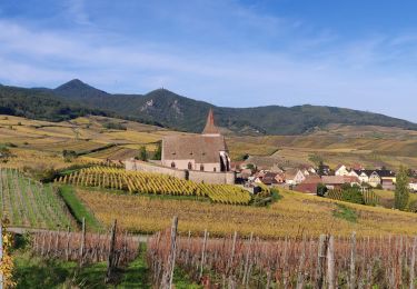 Percorso Equitazione Kaysersberg-Vignoble - 2019-10-26 CDTE67 Tournage Video Promotion TE - Photo