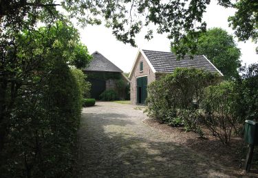 Tour Zu Fuß Lochem - Gorsselse Heide route - Photo