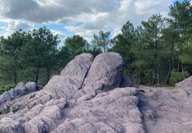 Excursión Senderismo Tréhorenteuc - Tréhorenteuc  - Photo