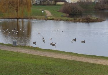 Tocht Stappen Servon - dimanche 20 décembre  - Photo