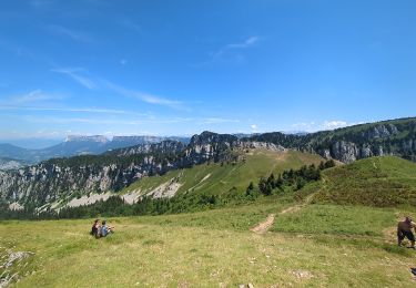 Excursión Senderismo Saint-Pierre-de-Chartreuse - Petit Som - Photo