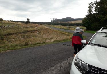 Tocht Stappen Les Estables - Alambre - Photo