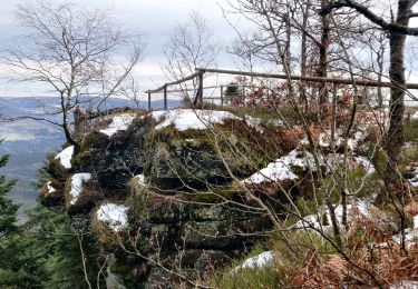 Tour Wandern Blen - 2020-02-09 Marche Chatte Pendue par Plaine - Photo
