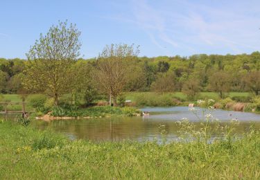 Trail On foot Foug - Circuit de Grammont - Photo