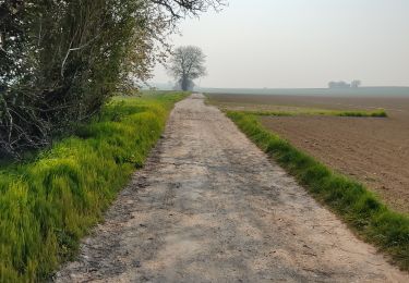 Excursión Senderismo Précy-sur-Oise - randonnée de precy au bois st Michel - Photo