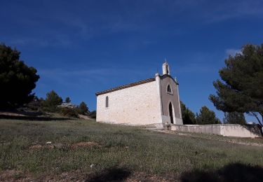 Trail Walking La Fare-les-Oliviers - Boucle autour de La Fare les Oliviers  - Photo