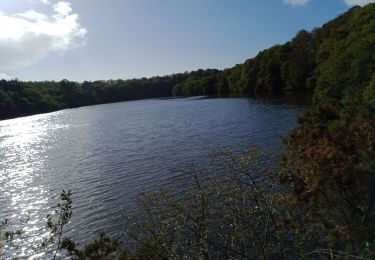 Tour Wandern Concarneau - CONCARNEAU - Photo