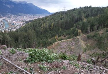 Tour Wandern Gemeinde Natters - Innsbruck natterer see  - Photo