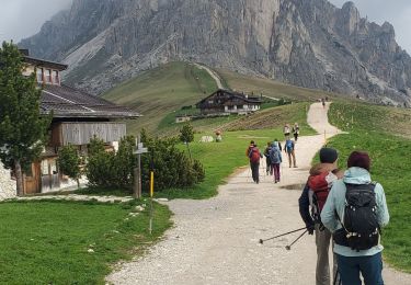 Trail Walking San Vito di Cadore - cinq tours 569m 10.34km - Photo