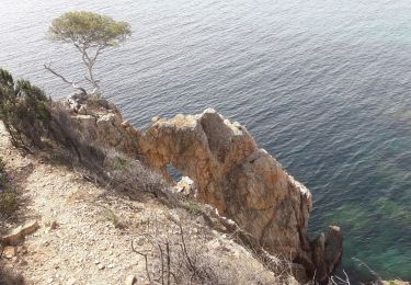 Randonnée Marche La Londe-les-Maures - La l'onde les maures Normes les MIMOSAS littoral  - Photo