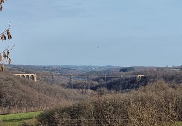 Trail Mountain bike Louroux-de-Bouble - Les trois viaducs - Photo