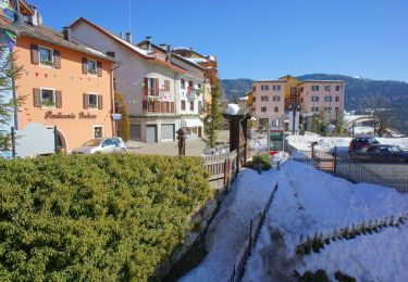 Percorso A piedi Altopiano della Vigolana - IT-E425 - Photo