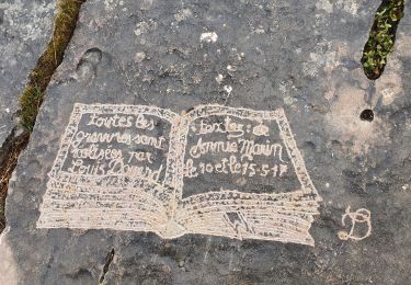 Tour Wandern Aubagne - Le sentier du Scolopendre les pierres gravées  - Photo