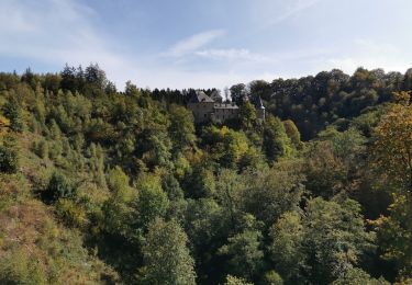 Tour Wandern Weismes - Barrage de Robert Ville et Château Steinhart - Photo