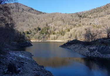 Trail Walking Sewen - Lac d'Alfed et sa cascade - tour au pied du Ballon d'Alsace - Photo