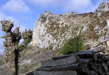 Tocht Te voet Roquefixade - Randonnée à Roquefixade - Photo