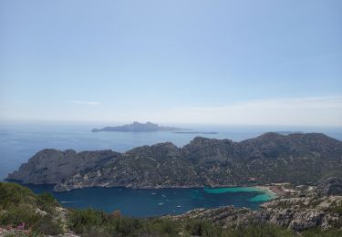 Randonnée Marche Marseille - Sugiton et Sormiou 7.5.22 - Photo