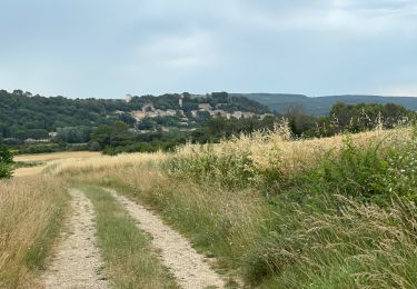 Trail Mountain bike Arpaillargues-et-Aureillac - 20210628 Arpaillargues Saint Quentin Saint Siffret - Photo