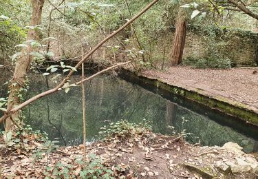 Percorso Marcia Simiane-Collongue - Le chemin de Gui , la carrière  de Peycai - Photo