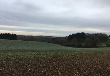 Trail Walking Durbuy - Adeps Borlon 2019 - Photo